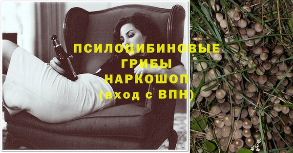 прущая мука Пересвет