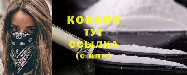 стаф Пестово