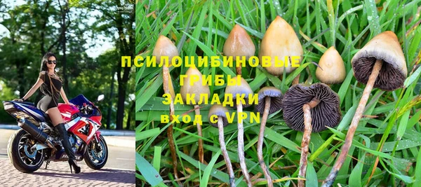 прущая мука Пересвет