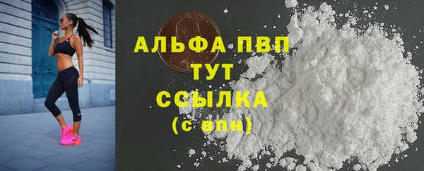 стаф Пестово