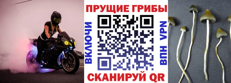 Купить закладки  Гагарин  Галлюциногенные грибы мицелий 